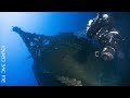Blu Dive "Santa Wreck" eXpedition VOL3