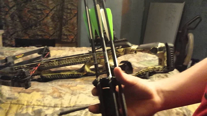 Barnett raptor: review