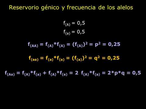 Video: ¿Cómo afecta la selección natural a la frecuencia de los alelos?