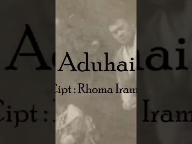 Rhoma Irama Ft. Riza Umami - Aduhai  Lyric Video class=