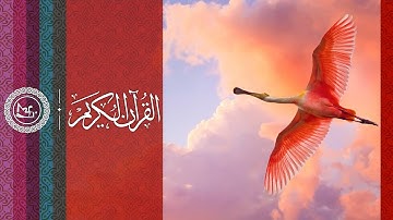 القرآن الكريم | سورة آل عمران | من آية (١٩٠-١٩٥) | بصوت القارئ عبدالعزيز العسيري