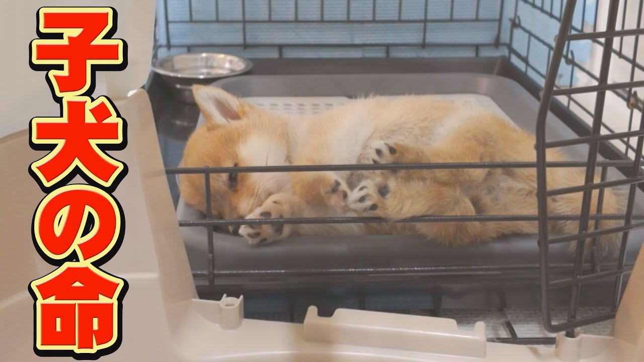 My teacher told me, ``Even the worst can happen.'' - YouTube