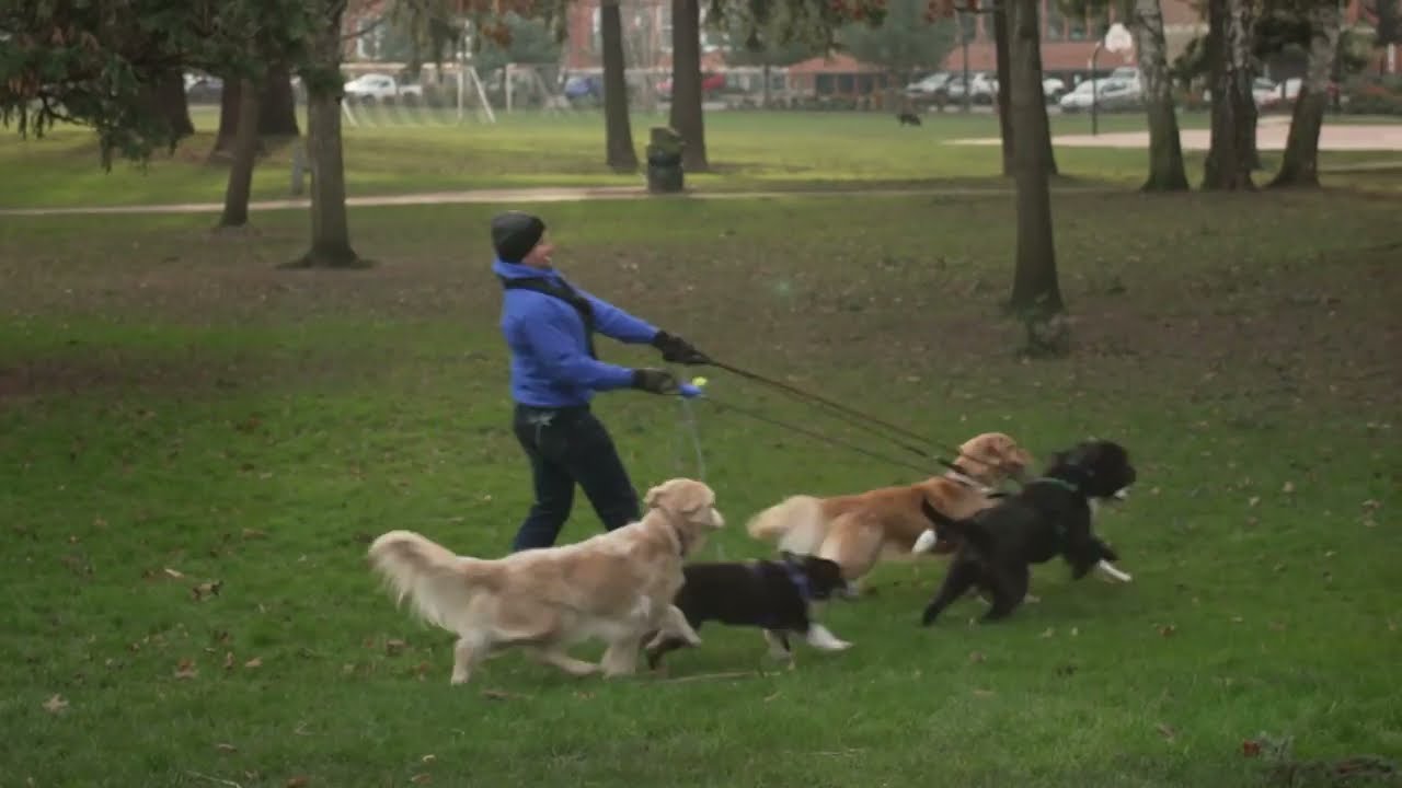 Turn Can't into Can (15) | Rivermark Community Credit Union