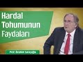 Hardal Tohumunun Faydaları | Prof. İbrahim Saraçoğlu