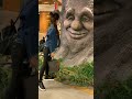 الشجرة السحرية  