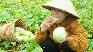 Single Mom Life, Harvest melon to the market to sell