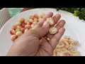 "Karonda Recipes 3 Ways| करोंदा स्पेशल| Pickle, Launji &amp; Murabba | Zesty, luscious &amp; Tangy"