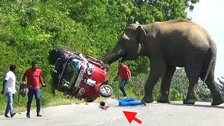 A three-wheeler overturns on the road after being attack by a wild elephant on the road