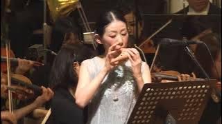 The Legend of Zelda Orchestra - Song of Storms - Saria's Song.