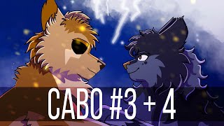 【Cabo | Anything Shipping MAP | Parts 3 + 4】