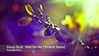 Danny Byrd - Wait For Me (WiSkiM Remix)