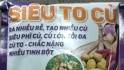 SIÊU TO CỦ CHO TẤT CẢ CÁC CÂY LẤY CỦ