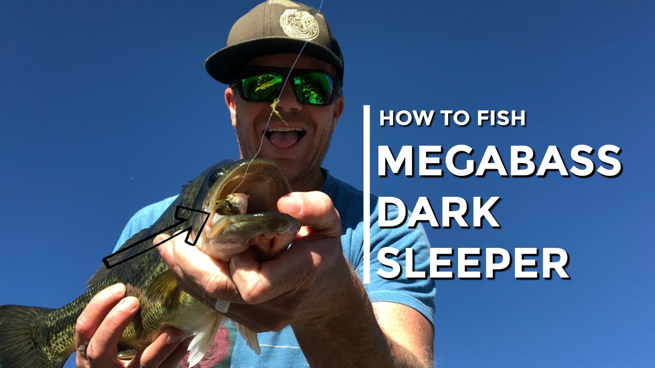 How to Fish Megabass Dark Sleeper - Ultra Deep Swimbait Technique 
