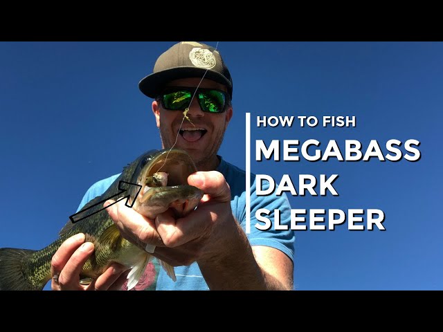 How to Fish Megabass Dark Sleeper - Ultra Deep Swimbait Technique