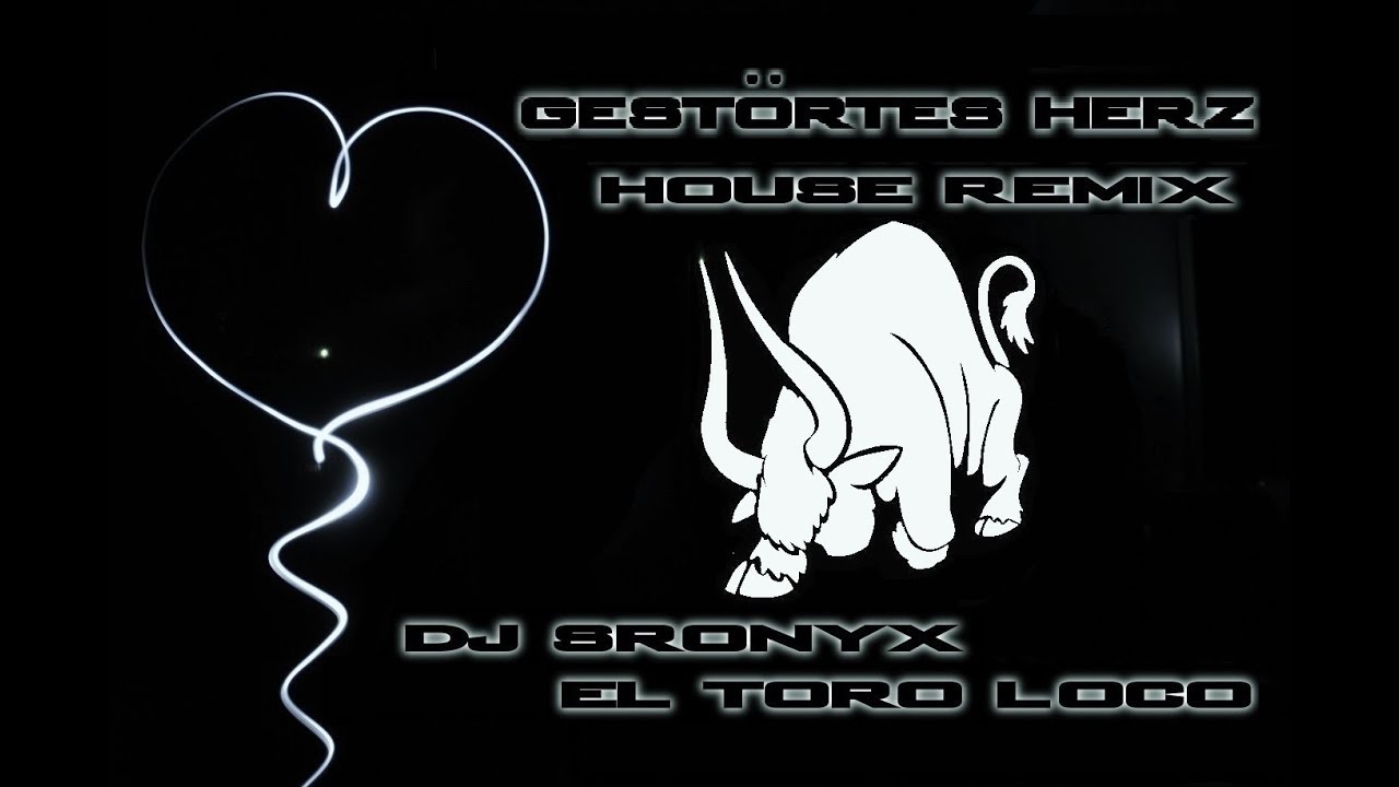 Gestörtes Herz - House Remix 2018 Dj Sronyx el toro loco