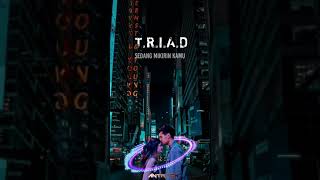 TRIAD sedang mikirin kamu lirik by antrack mp3