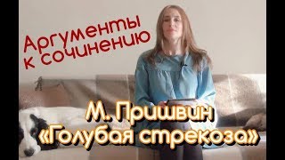 Аргументы к сочинению. Рассказ М. Пришвина "Голубая Стрекоза"