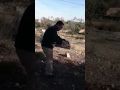 video de suelta de capturas en betera (valencia)