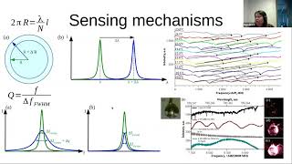 Inga Brice, Whispering gallery mode silica microsphere resonator applications for biosensing ...