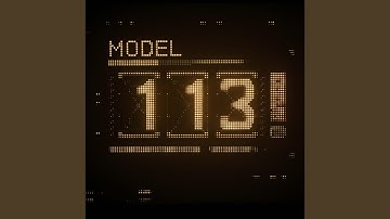 MODEL 113