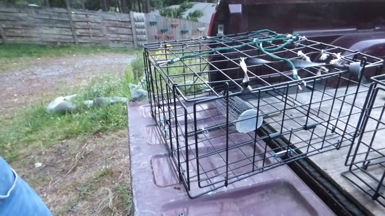 DIY crab trap rigging 
