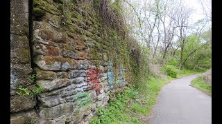 Tookany Creek Park Trail, 2020