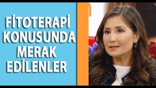 Fitoterapi Ve Tamamlayacı Tıp Yöntemleri