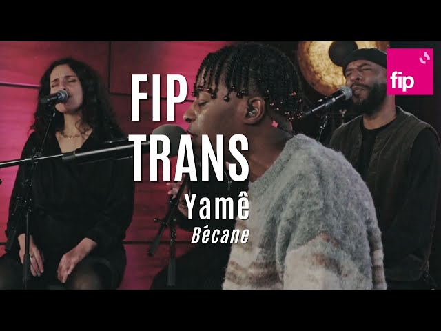 Fip en Trans : Yamê « Bécane » class=