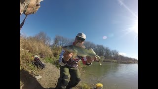 Fall Walleye & Bass Fishing Grand River