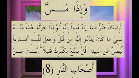 القرآن الكريم سورة الزمر الاية 8