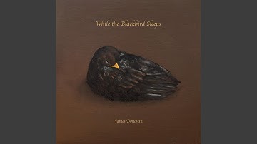 While the Blackbird Sleeps (Vocal)