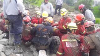 Diaz Mendoza Carlos Alberto