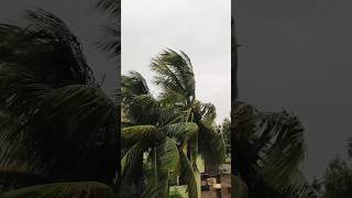 🌩️ ঝড়ের আগমনী বার্তা | Stormy Sky & Nature Vibes 🌧️