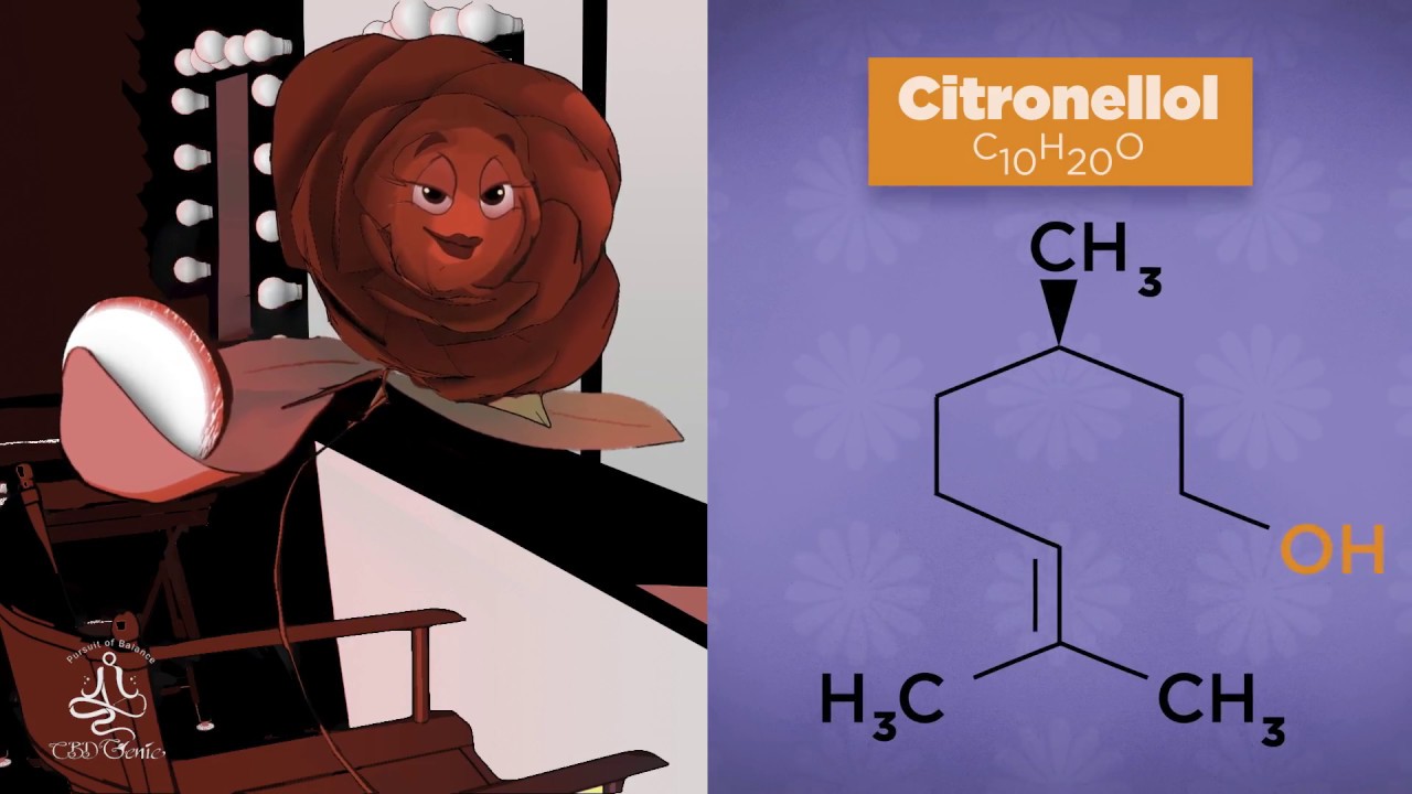 Terpenes Flowers & Their Properties