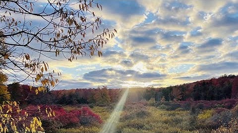 Inviting signs of autumn in the PhotoLink Library
