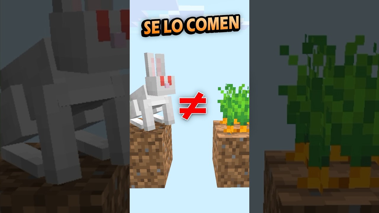 Evita que CONEJOS se acerquen a CULTIVOS! #minecraft