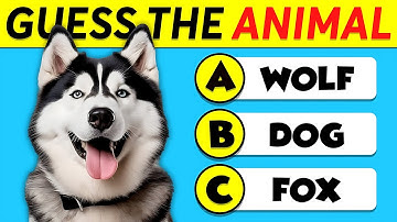 🤔 General Knowledge Trivia Quiz | Test Your Brain With This Fun Quiz!