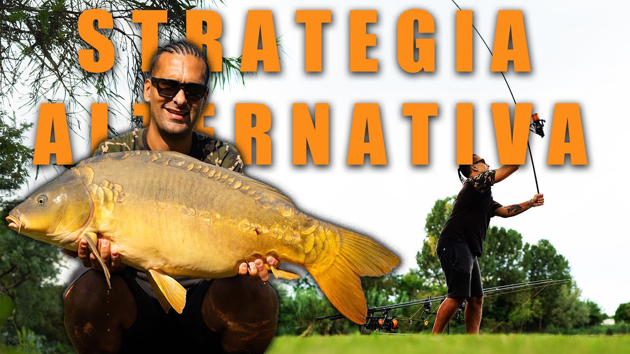 Strategia alternativa per una sessione in giornata - con Luca Montanari