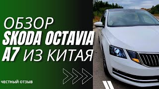 видео: Skoda Octavia А7 - обзор машины из Китая. Плюсы и минусы. Честный отзыв после месяца эксплуатации. картинка: Skoda Octavia А7 - обзор машины из Китая. Плюсы и минусы. Честный отзыв после месяца эксплуатации.