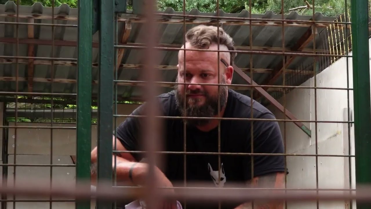 Krone Tierecke Problemhund Raffi