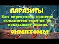 Лямблиоз, описторхоз. Как определить наличие гельминтов если их не показывает анализ.Симптомы.