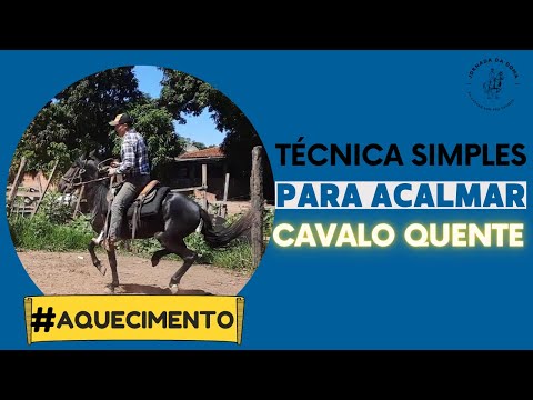 Vídeo: Como acalmar um cavalo nervoso