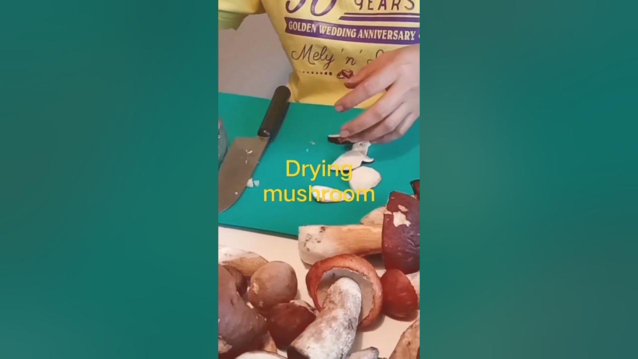 how to dry mushroom,simple and easy for home use YouTube