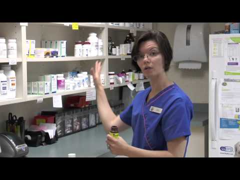 BSVC - Safety Training Video - Ballston Spa Veterinary Clinic