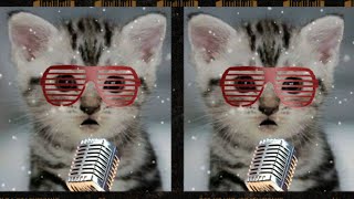 RAHMATUN LIL'ALAMEEN VERSI 2 DJ KUCING LUCU