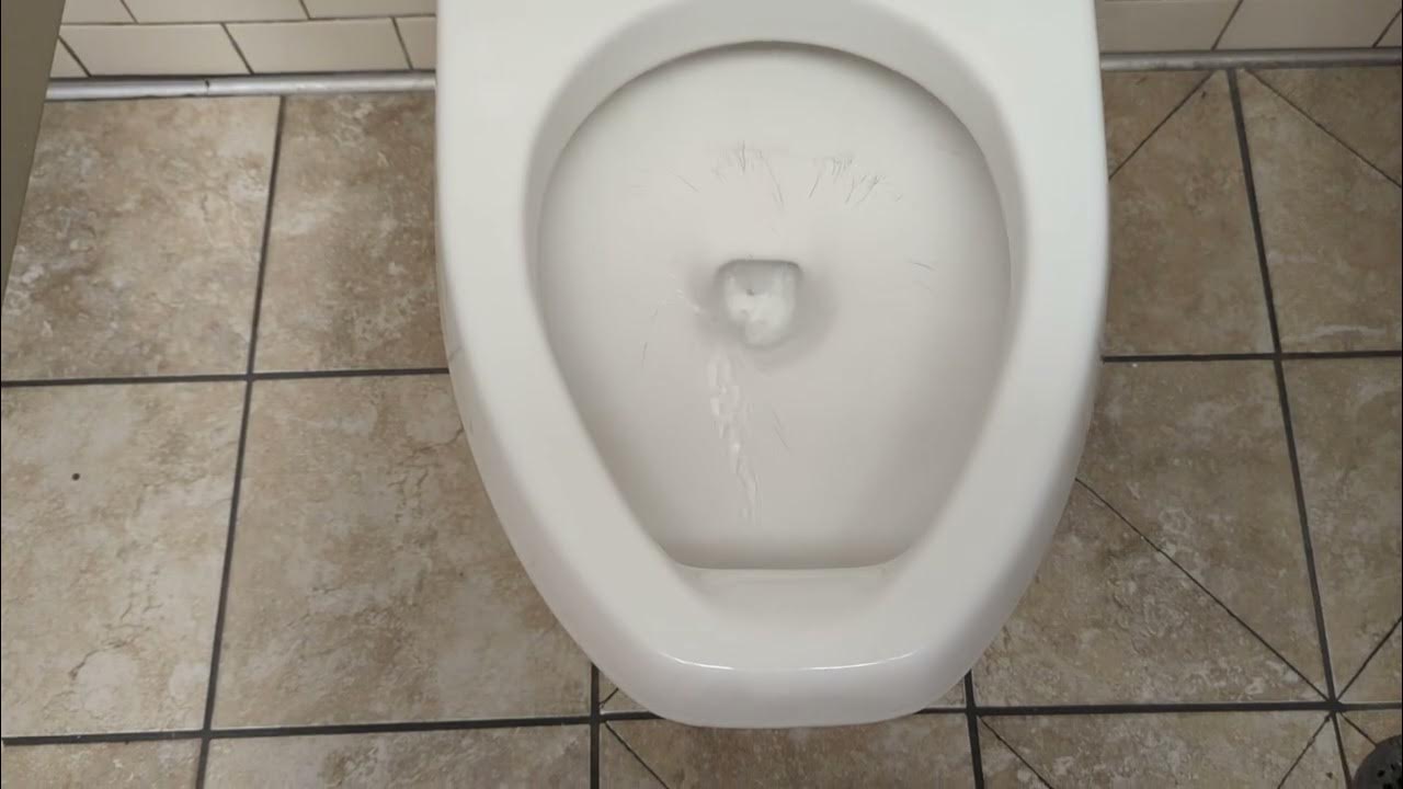 207 Homegoods Men's Restroom YouTube