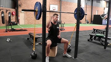 Box Squat (Banded) Dynamic