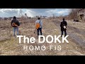 The dokk  homo fis