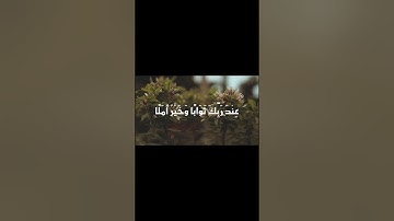 "المال والبنون زينة الحياة الدنيا" | تلاوة خاشعة تُذكّرك بحقيقة الدنيا #القرآن #تلاوةخاشعة