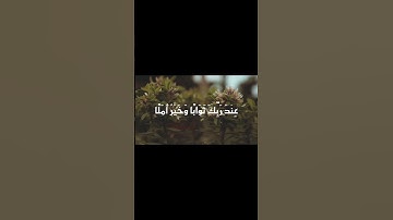 "المال والبنون زينة الحياة الدنيا" | تلاوة خاشعة تُذكّرك بحقيقة الدنيا #القرآن #تلاوةخاشعة